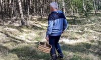 osoba zbierająca grzyby