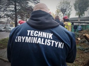 policjanci pracują w miejscu wypadku