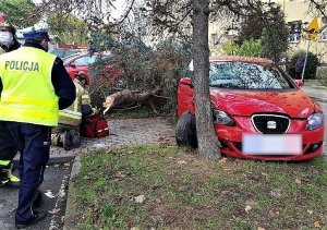 policjanci pracują w miejscu wypadku