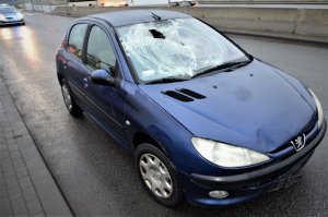 policjanci pracują w miejscu wypadku