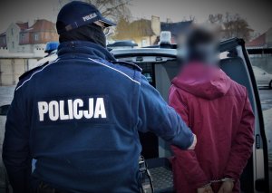 policjanci wykonują czynności z zatrzymanym