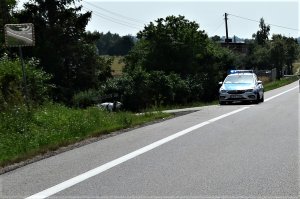 policjanci wykonują czynności na wypadku