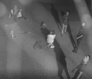 wizerunki sprawców