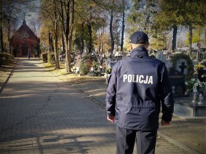 policyjna akcja ZNICZ