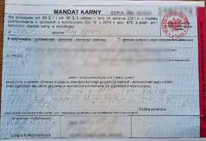 mandat karny